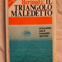 Libro Bermuda: Il triangolo maledetto.