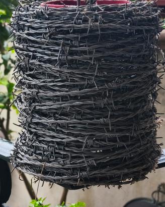 Filo Spinato Zincato Intrecciato Ferro Metallico C