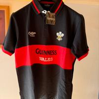Polo Guinness Wales