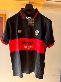 Polo Guinness Wales