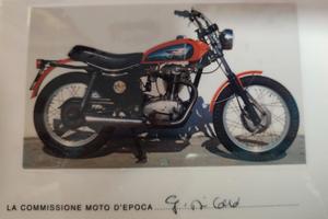 Moto DUCATI DM350 SCAMBLER
