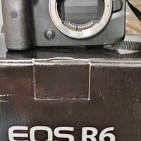 Canon R6