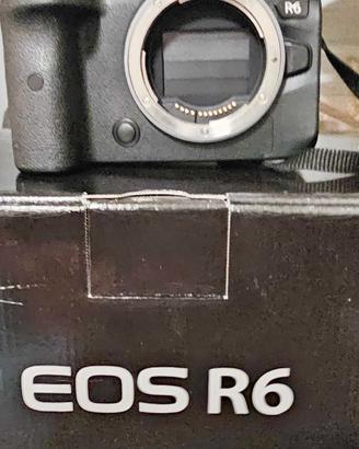 Canon R6