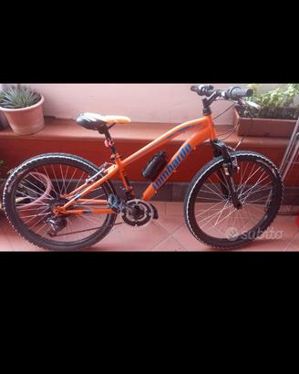 bici mtb