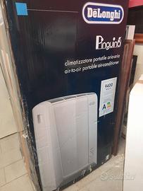 condizionatore pinguino