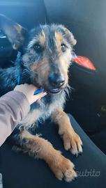 Una famiglia per chanel