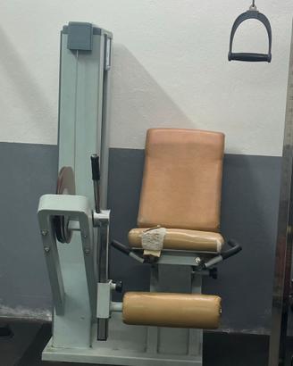 Leg extension