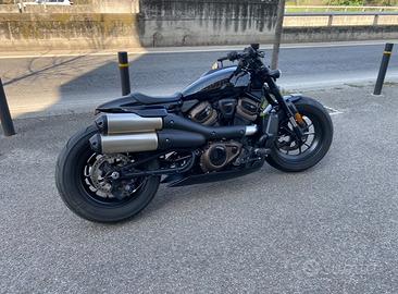 Harley davidson 1250 s sportster