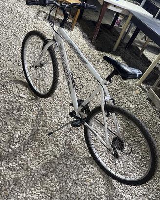 Bici da Passeggio/MTB Usate