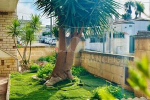 Casa Indipendente Alliste [Cod. rif 3283717VRG]