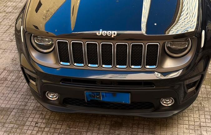 Jeep Renegade GPL