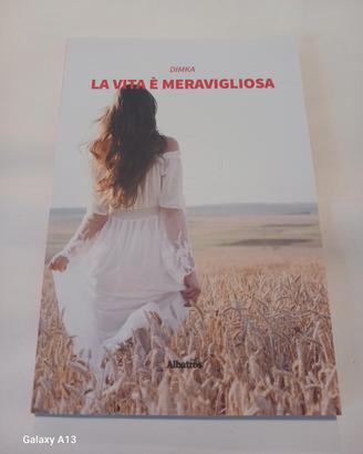 Dimka - La vita è meravigliosa