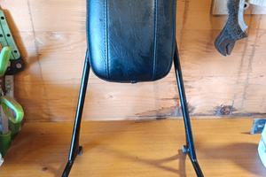 Sissy Bar per Harley Davidson Sportster 