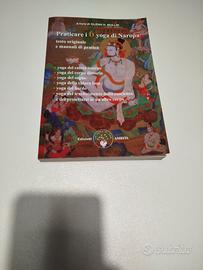 sono tuoi se vieni a premderli