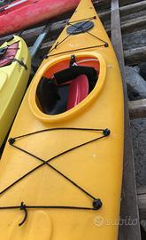 Canoe Kayak Janautica