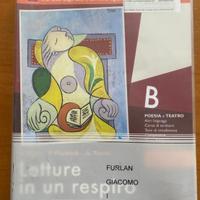 Testo scolastico "letture in un respiro b"