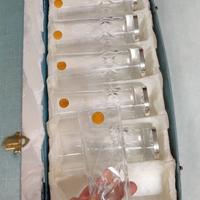 Bicchieri whisky vintage in cristallo e Argento 