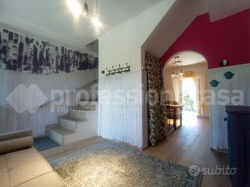 Terratetto Ateleta [Cod. rif 1126VRG]