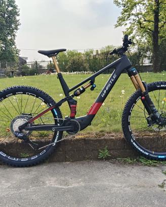 e-bike WHISTLE AXR 10.6