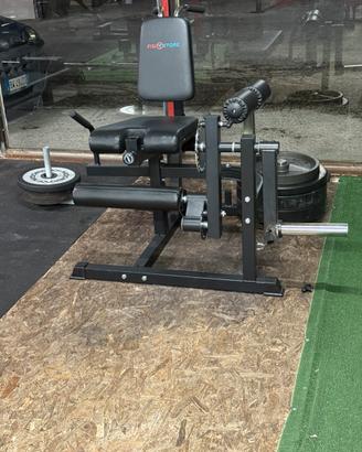 Leg extension + leg curl seduta