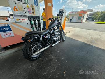 harley davidson 