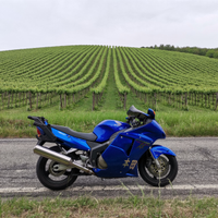 Honda CBR 1100 XX Super blackbird