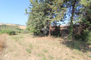 CASA DI CORTE A SPOLTORE