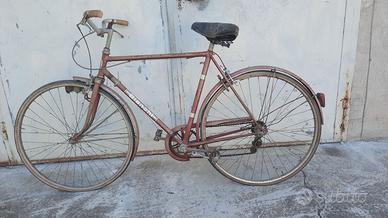 bicicletta da uomo