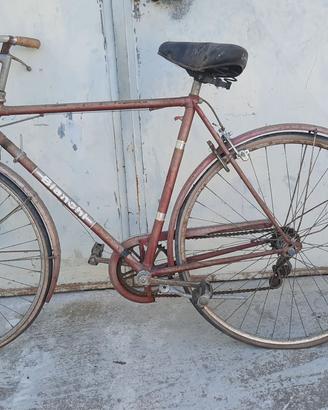 bicicletta da uomo