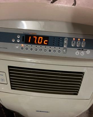 Climatizzatore Portatile Split Saeco Tuareg 110 EH