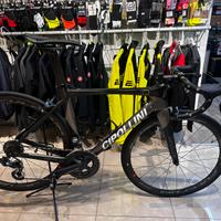 Cipollini bond