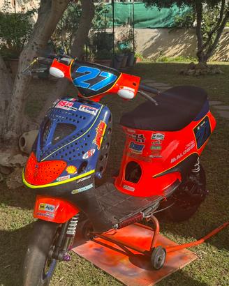 Zip da pista