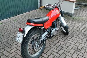 MONTESA 247 T