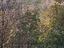 Immagine 10