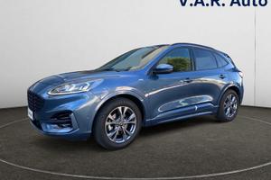 Ford Kuga 1.5 EcoBlue 120CV 2WD Connect Auto