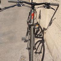 Specialized sirrus elite