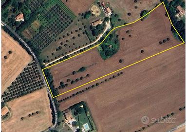 Rustico 200 m² + Terreno 20 000 m²