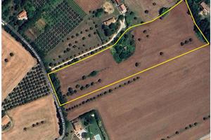 Rustico 200 m² + Terreno 20 000 m²