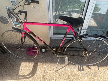 Bicicletta Bottecchia city