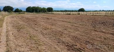 TERRENO AGRICOLO Loc.PULLO- L.TERME -AEROPORTO