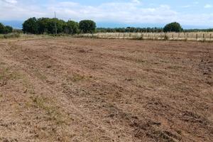 TERRENO AGRICOLO Loc.PULLO- L.TERME -AEROPORTO