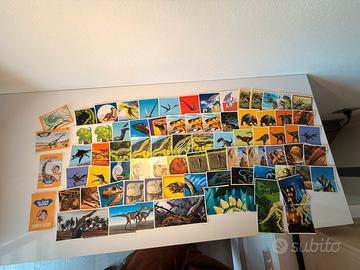 Lotto Fugurine/Stickers Dr.Steve Hunters-Dinosauri