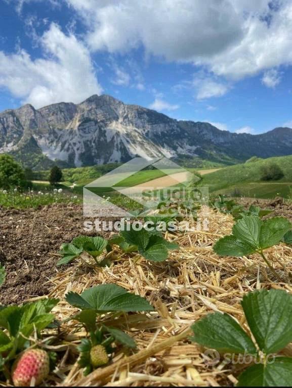 Terreno di 4900 m² a Ronzo-Chienis - Vista 3