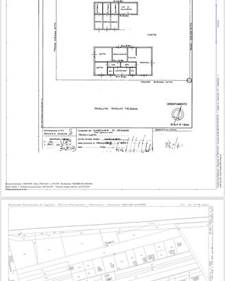 Uliveto i con annesso caseggiato da 150mq