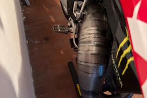 pancia scalvini artigianale e sile procircuit 304