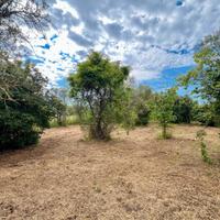 Poli: rustico uso magazzino con terreno