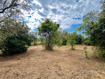 Poli: rustico uso magazzino con terreno