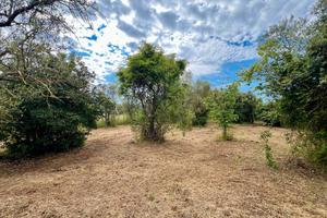 Poli: rustico uso magazzino con terreno