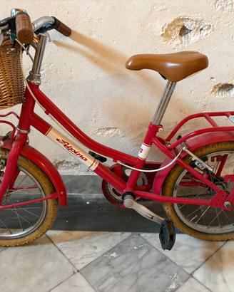 Bicicletta bambina Alpina