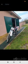 ttr 600 belgarda
